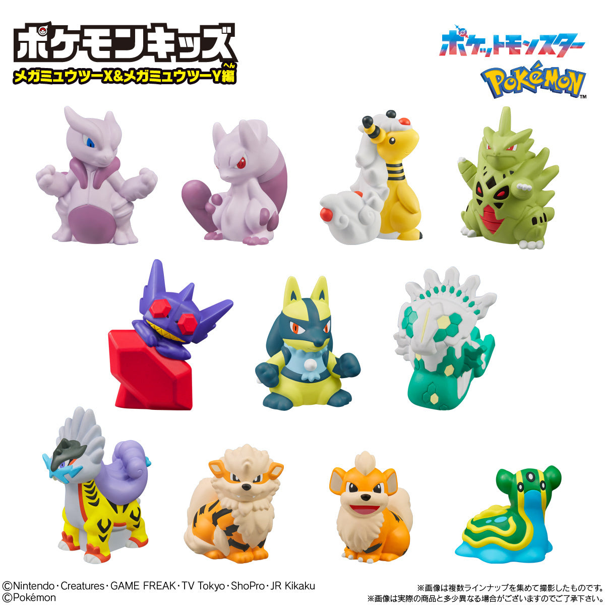 Pokemon Kids Mega Mewtwo X & Mega Mewtwo Y Edition - Preorder Blind Box Bandai