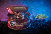 Can of Curiosities - Little Mermaid - Preorder - Bubble Wrapp Toys