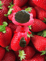 Strawberry Angel Cat by Miloza Ma x Bubble Wrapp (Bubble Wrapp Exclusive) - Bubble Wrapp Toys